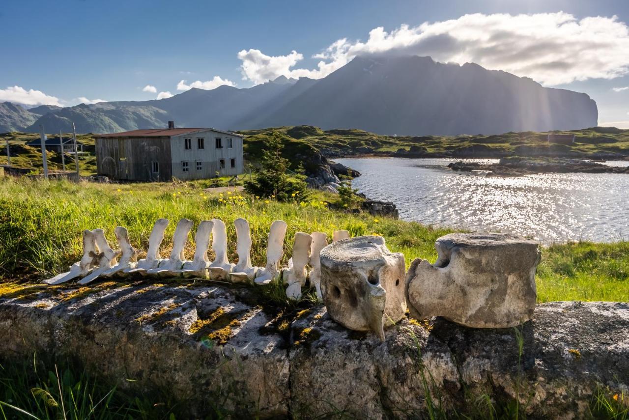 Villa Borgvag - A Unique Seafront Villa In The Heart Of Lofoten Bostad Luaran gambar