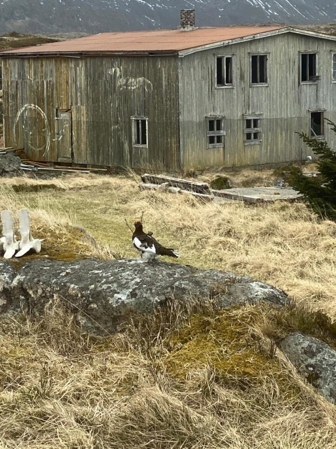 Villa Borgvag - A Unique Seafront Villa In The Heart Of Lofoten Bostad Luaran gambar